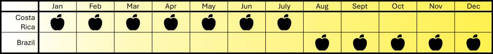 Pineapple Seasonal Calendar & Origins