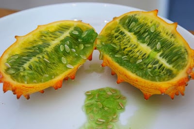 Kiwano Melon Fruit