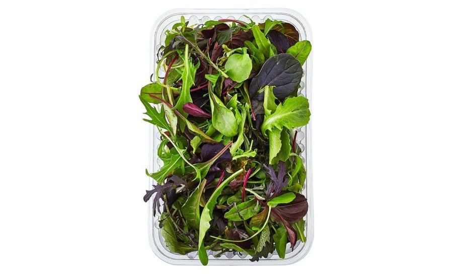 Washed Gourmet Salad 6 X 460g
