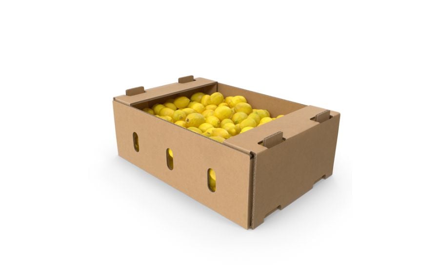 Lemon Box - 100 - 113 Per Box