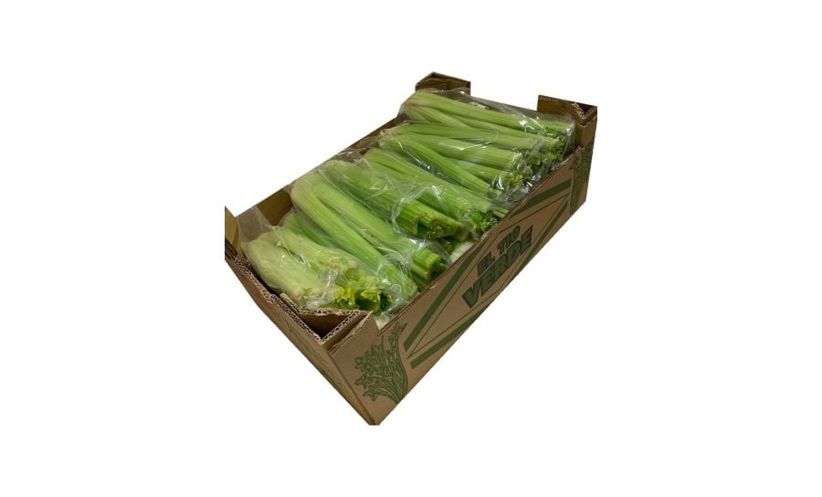 Celery Box Of 12