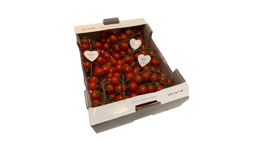Vine cherry tomato box