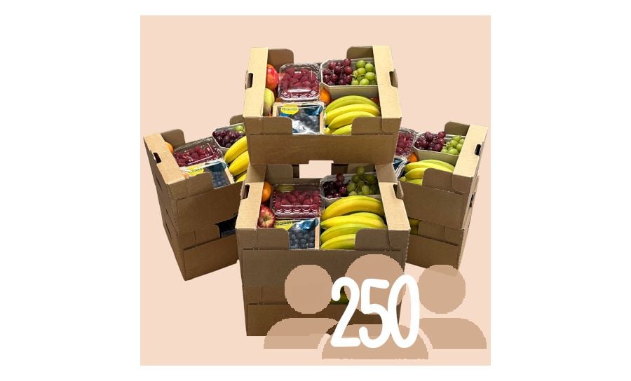 Mixed Fruit Box For 250 People