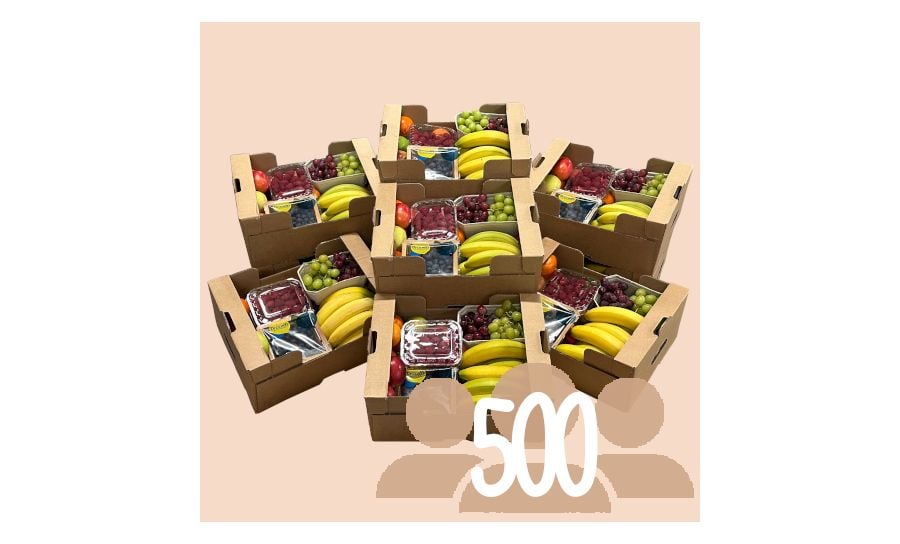 Mixed Fruit Box For 500 People