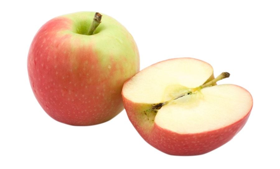 Large Pink Lady Apple Each