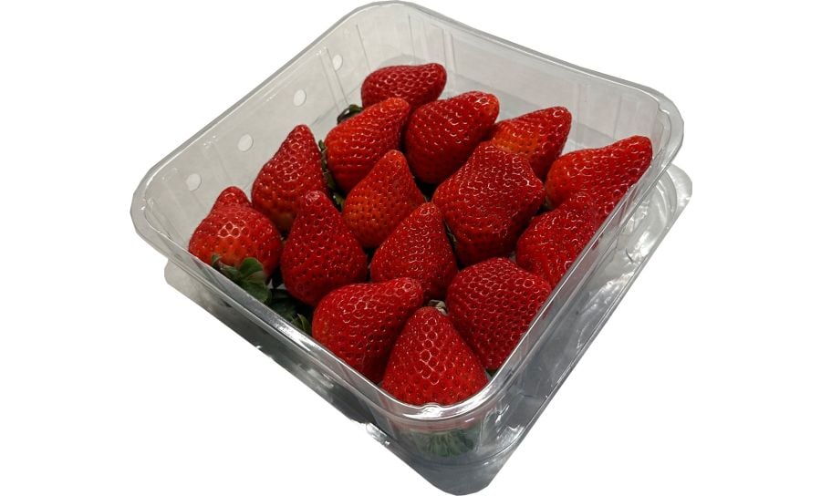 Fresh Strawberry Punnets 400G