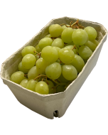 Green Grapes (Recyclable Packet, Seedless) 500g