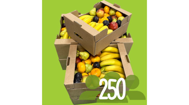Box For 250 People
