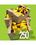 Box For 250 People