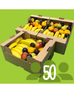 Box For 50 People