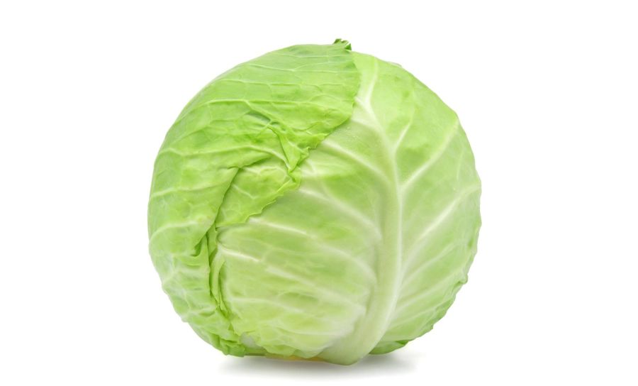 Fresh White Cabbage 