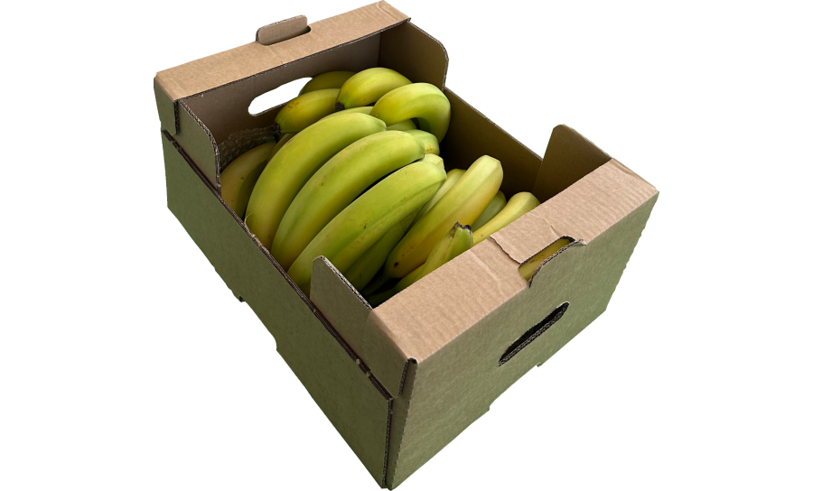 Greenish Banana Box - 30 Bananas Per Box