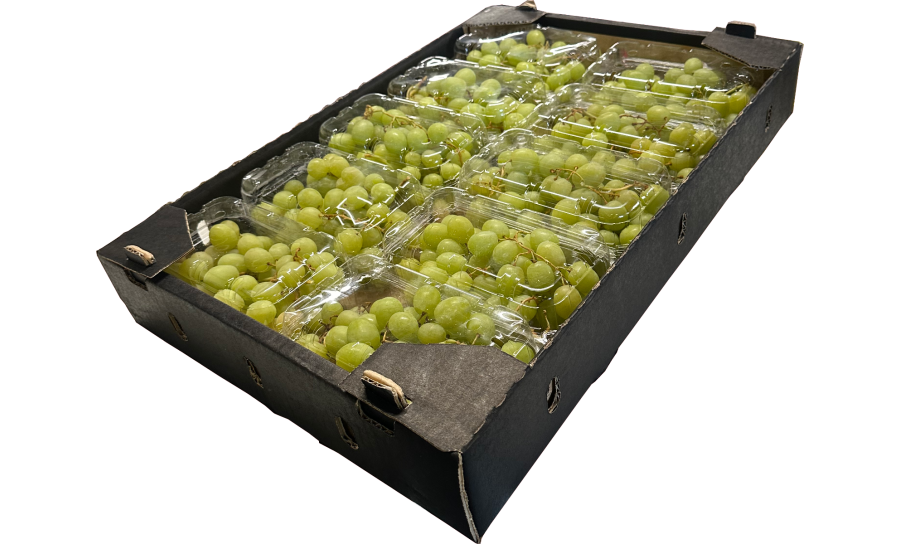 Green Grapes (Seedless) Box - 10 x 500G
