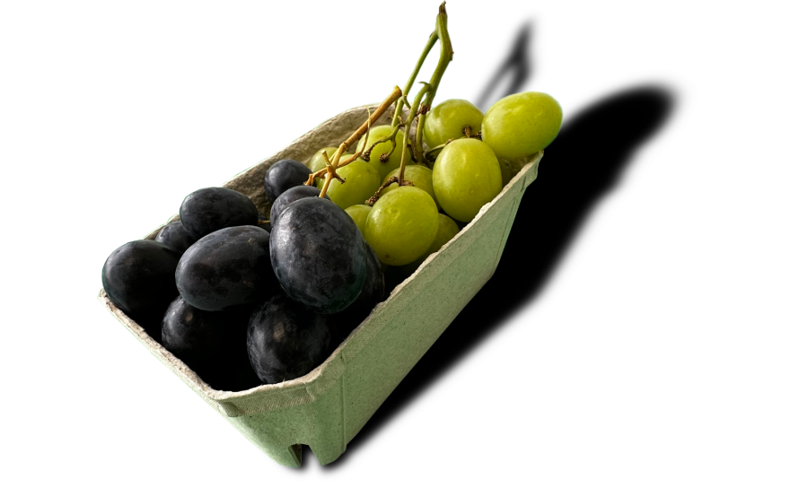 Red/Green Grapes (Recyclable Packet, Seedless) 500g