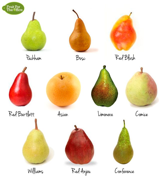 Discover 10 Delicious Types of Pears - A Guide to Varieties