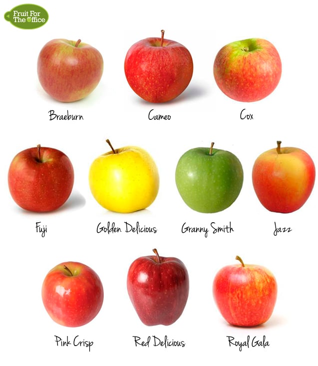 10 Types of Apples: A Comprehensive Guide to Flavorful Varieties