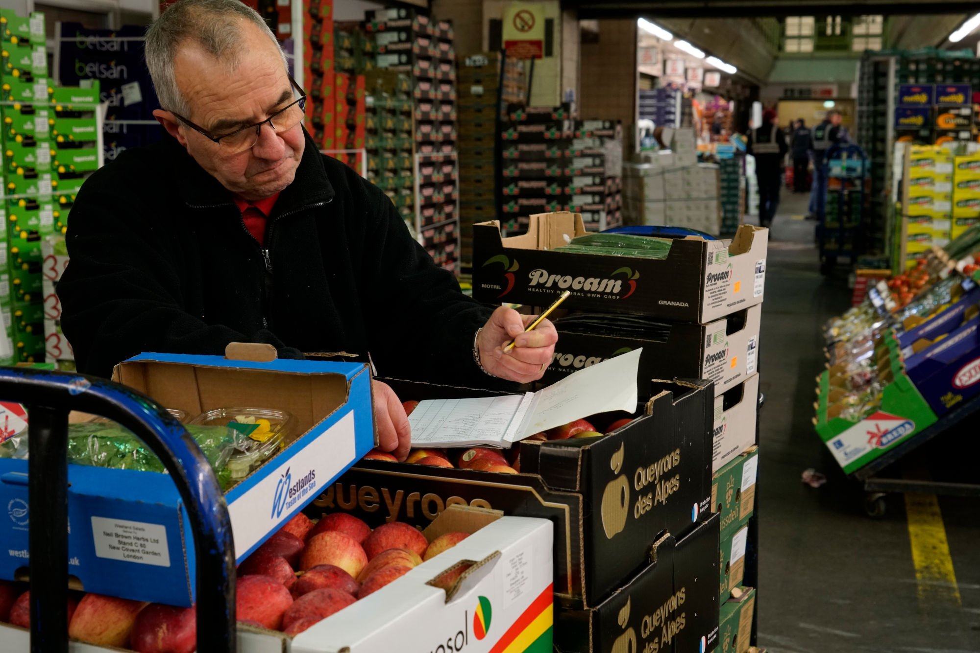 Our Procurement Director, surrounded by the high quality fruit he has examined, with over 50 years of experience in the industry.