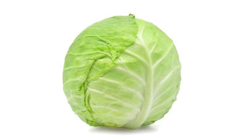 Fresh White Cabbage 