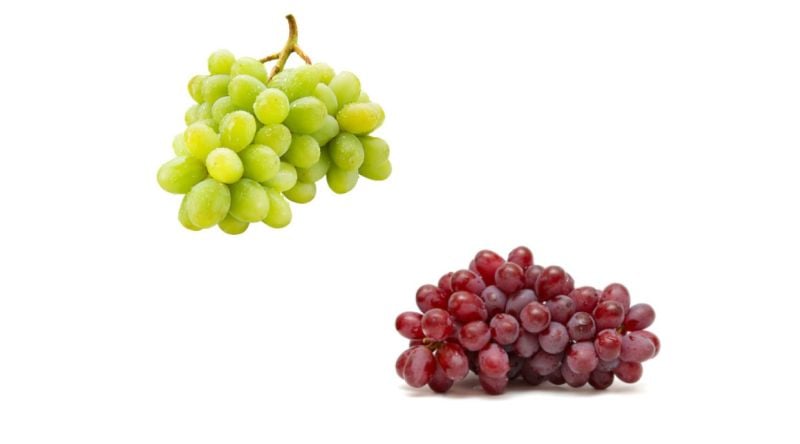 Mixes Red/Green Seedless Grapes Fruit