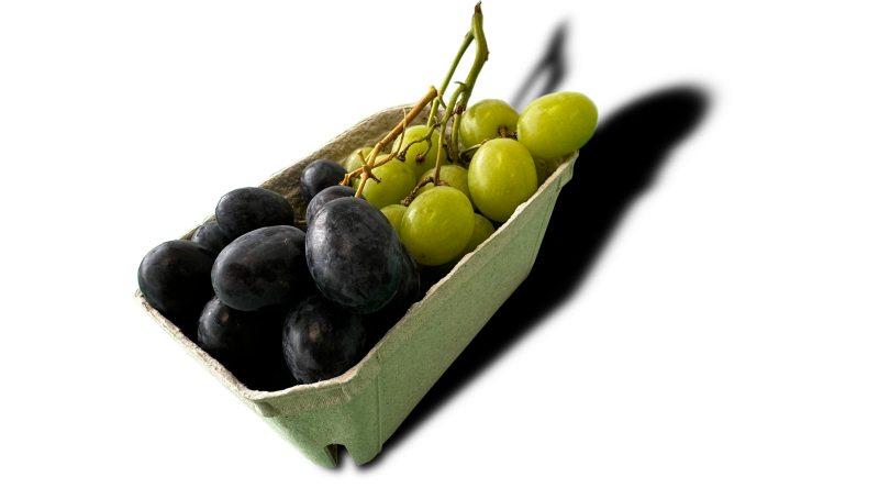 Fresh Recyclable PTK Red/Green Seedless GRAPES Fruit