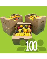 Box For 100 People